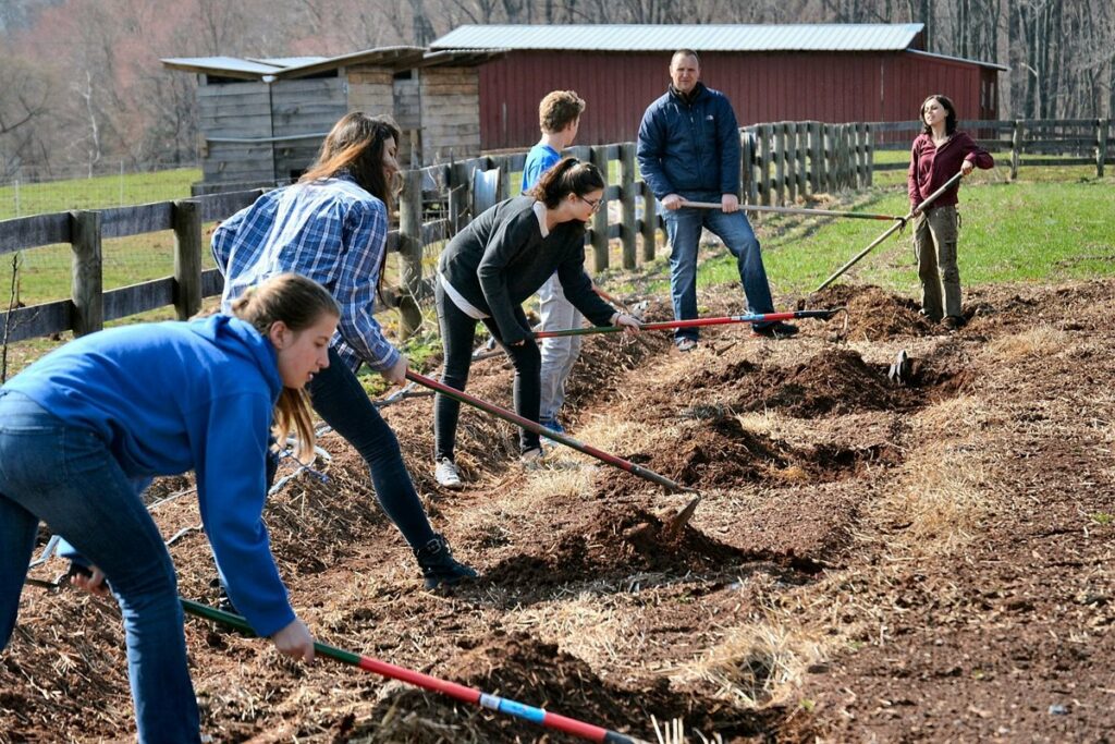 Teens Tilling A Field