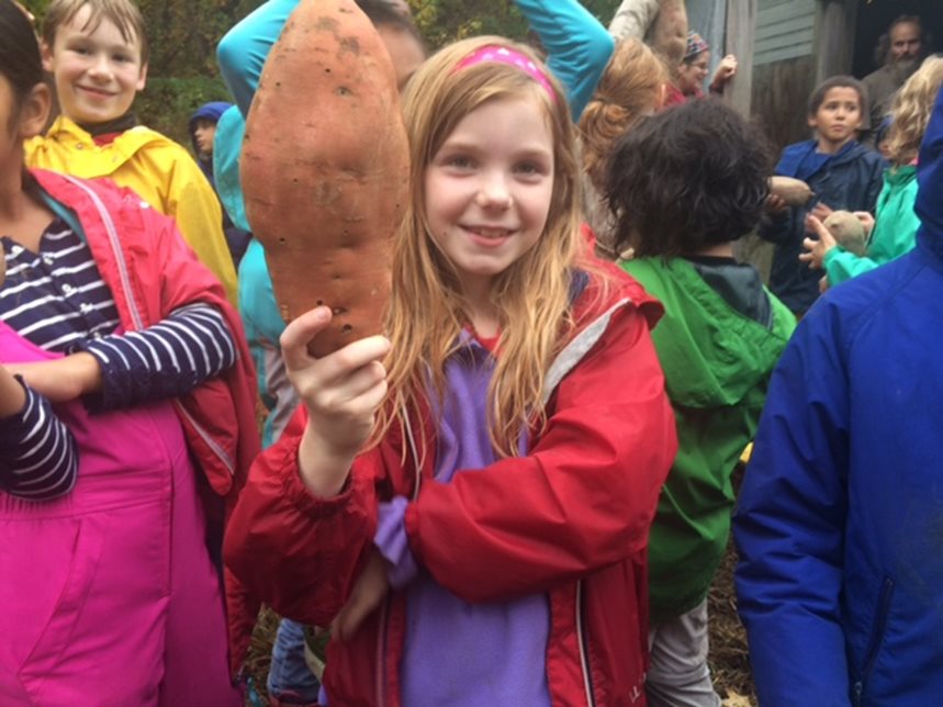 Girl Holding A Yam