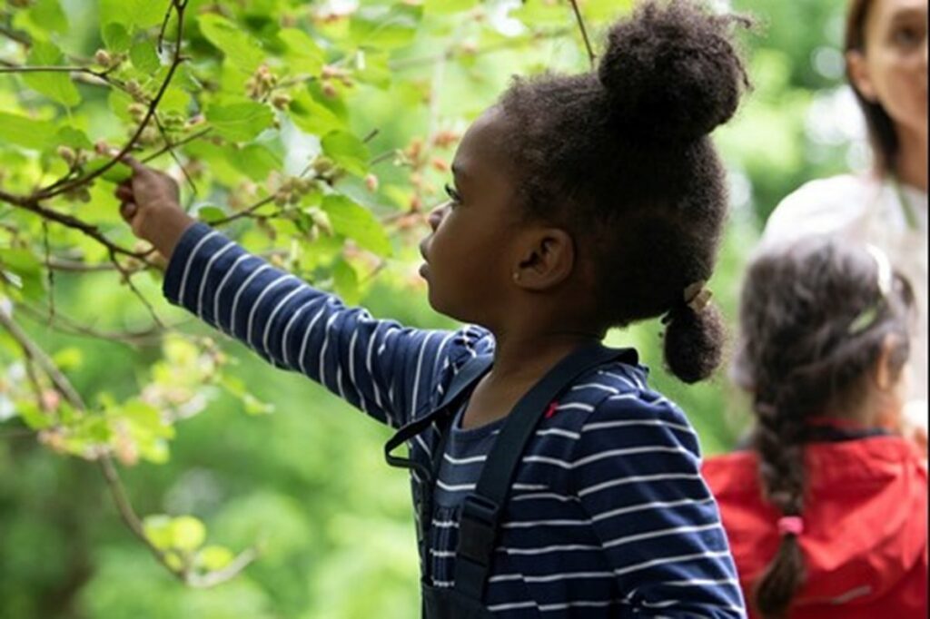 Girl Picking Flowers Off a Tree